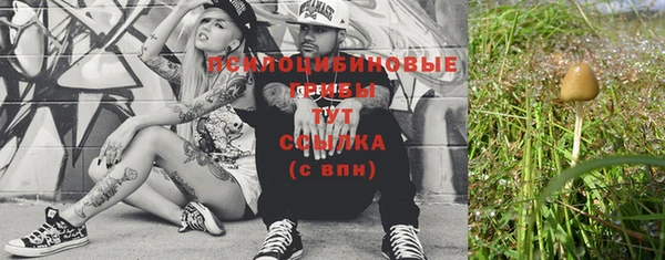 стафф Вяземский