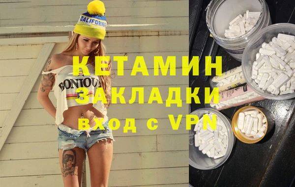 ПСИЛОЦИБИНОВЫЕ ГРИБЫ Горно-Алтайск