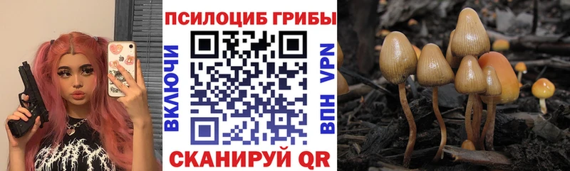 Псилоцибиновые грибы Magic Shrooms  Зарайск 
