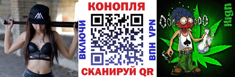 Марихуана White Widow продажа наркотиков Зарайск